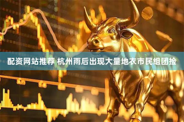 配资网站推荐 杭州雨后出现大量地衣市民组团捡